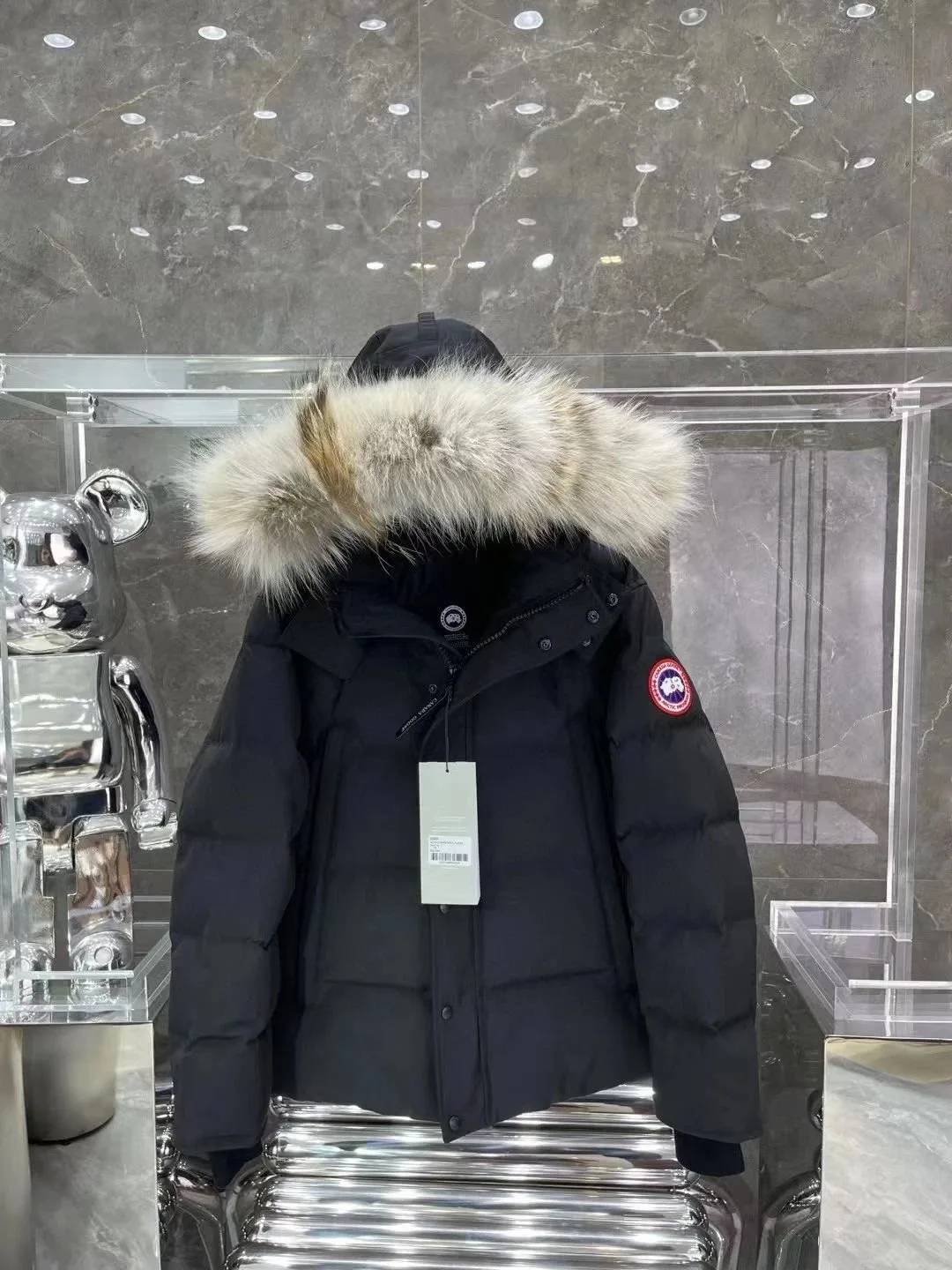 Canada Goose Down Jacket