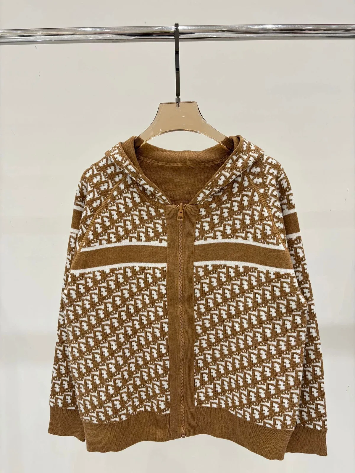 Dior Hoodie