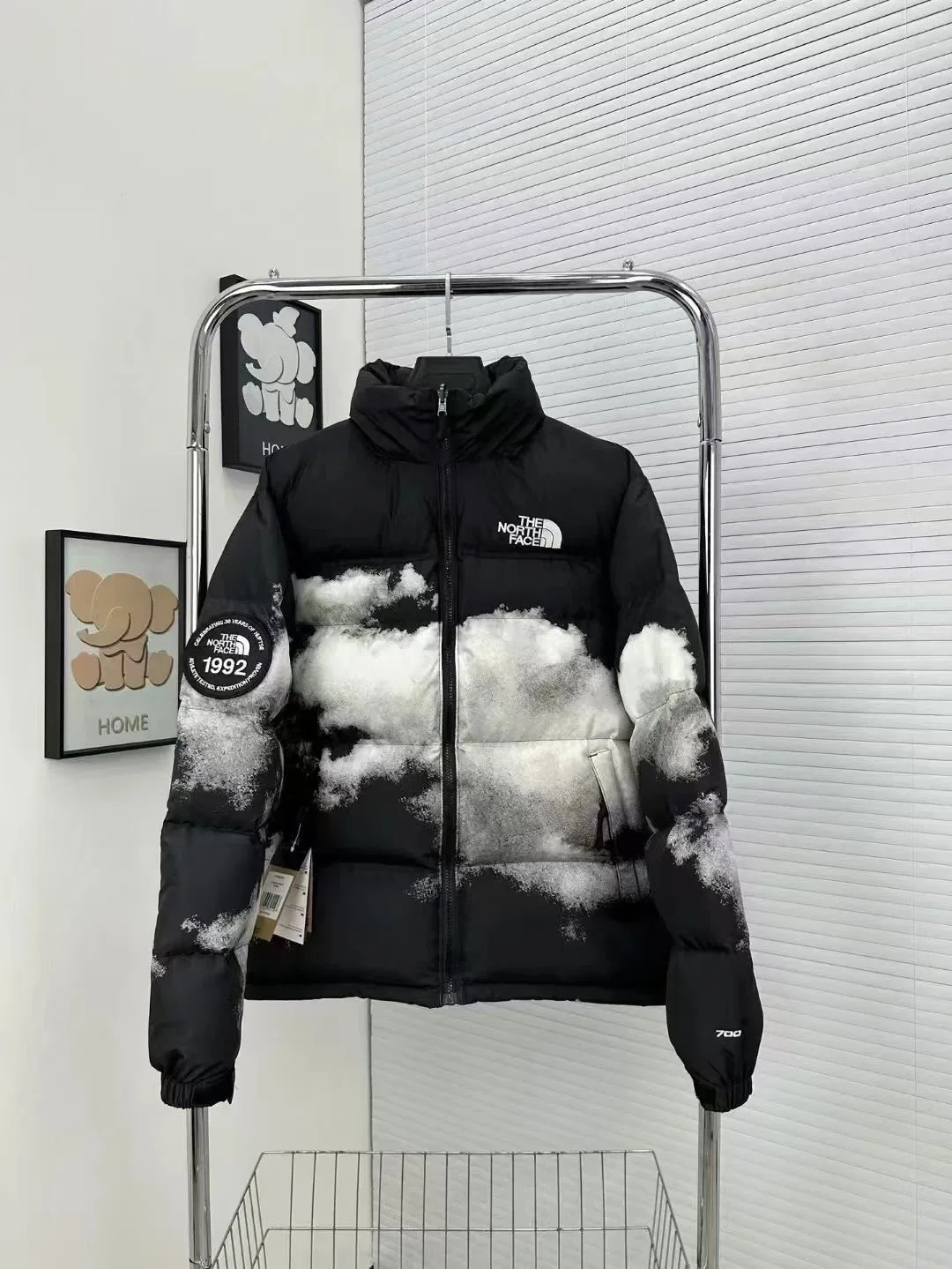 The North Face Down Jacket