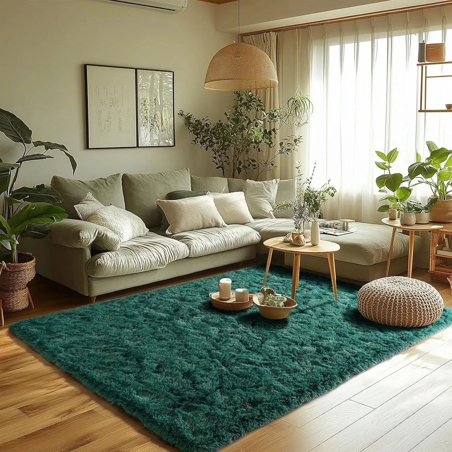 Plush Carpet