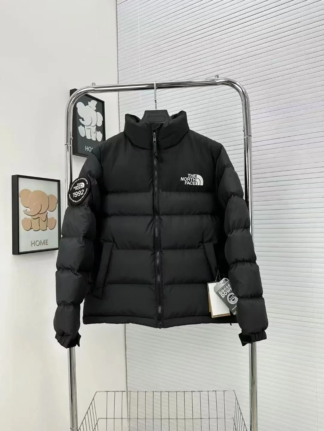 The North Face Down Jacket